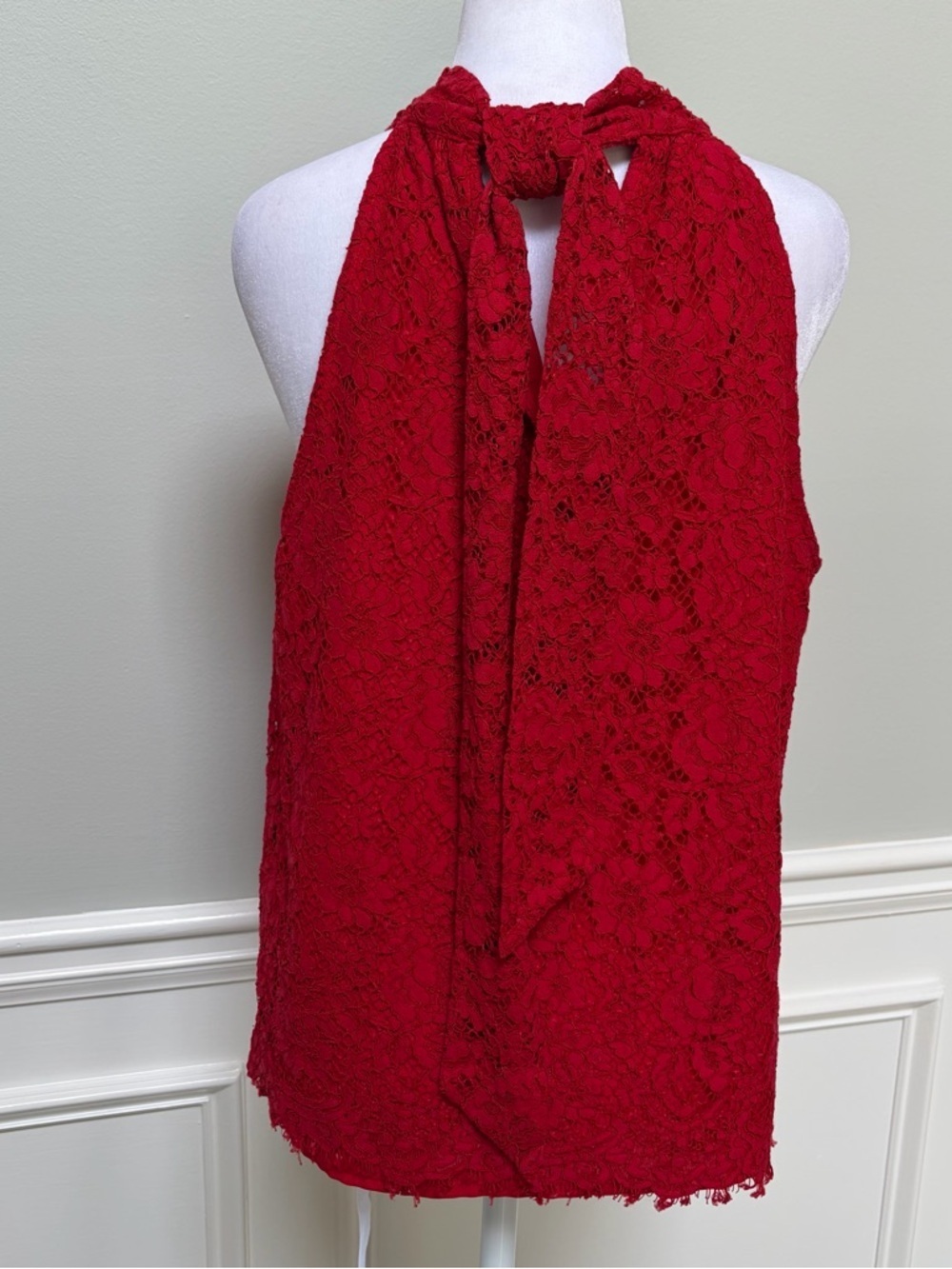 J. Crew Red Lace Sleeveless Top M - Picture 3 of 8